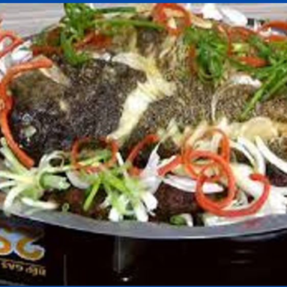 Cá bống mú