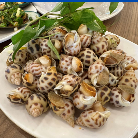 Ốc hương