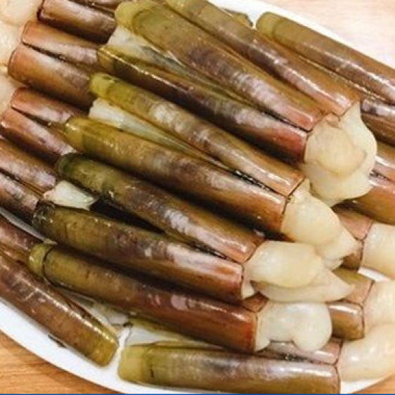 Ốc móng tay