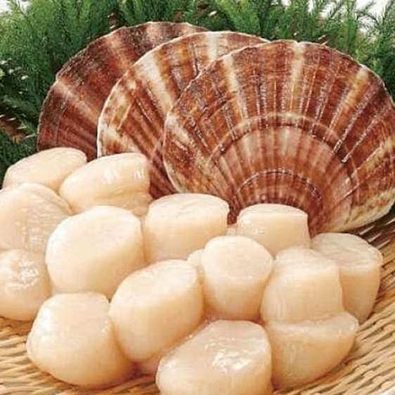 Sò điệp