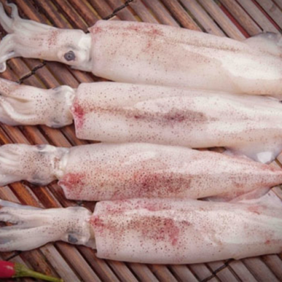 Mực